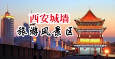 小骚b艹死你视频中国陕西-西安城墙旅游风景区