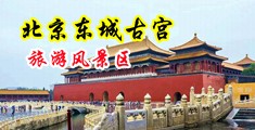美女味被大鸡鸡操视频中国北京-东城古宫旅游风景区